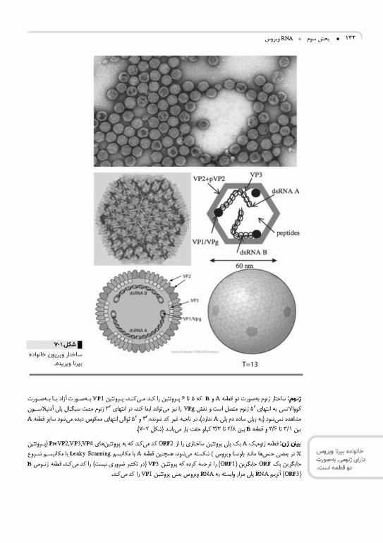 مرجع ویروس‌شناسی جانوری نوین به زبان ساده