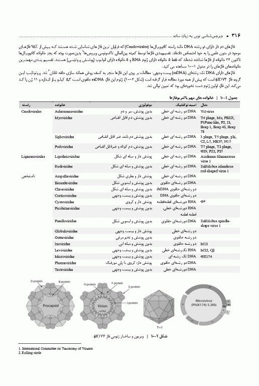 ویروس‌شناسی نوین به زبان ساده