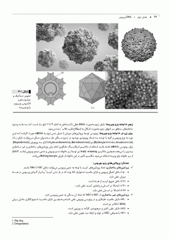 مرجع ویروس‌شناسی جانوری نوین به زبان ساده