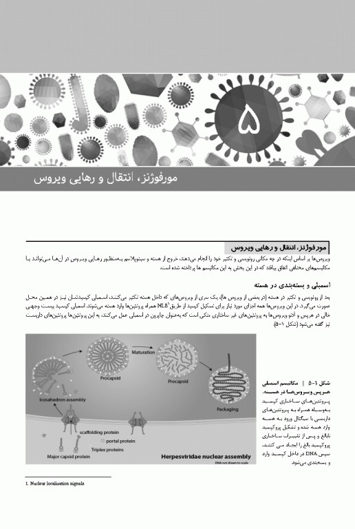 ویروس‌شناسی نوین به زبان ساده