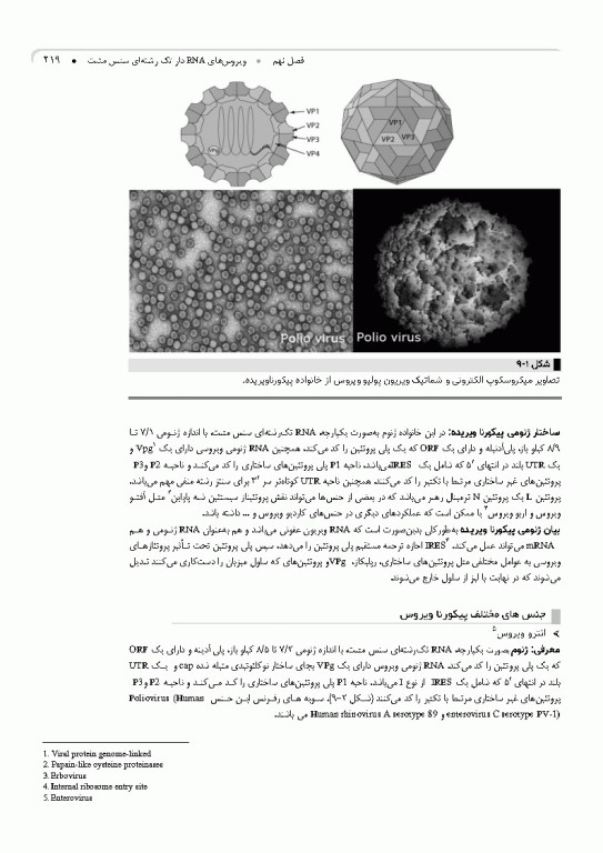 مرجع ویروس‌شناسی جانوری نوین به زبان ساده
