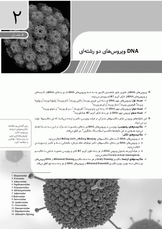 مرجع ویروس‌شناسی جانوری نوین به زبان ساده