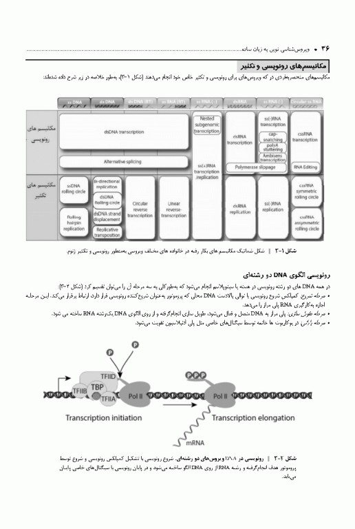 ویروس‌شناسی نوین به زبان ساده