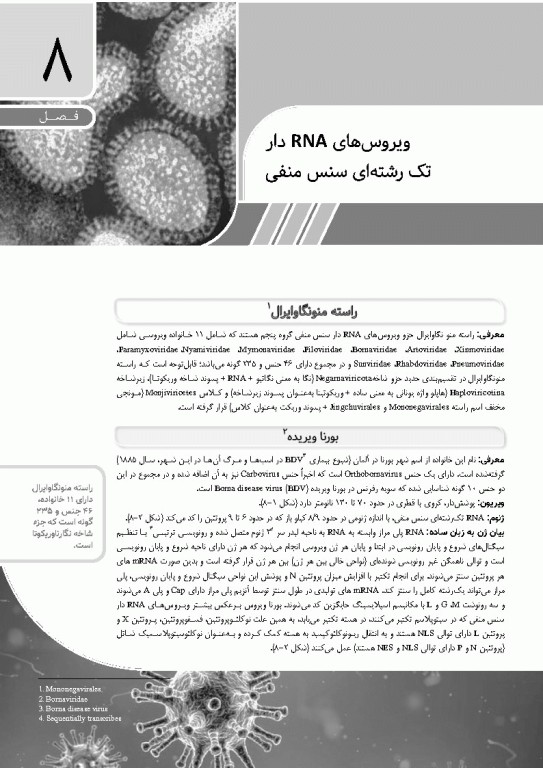 مرجع ویروس‌شناسی جانوری نوین به زبان ساده