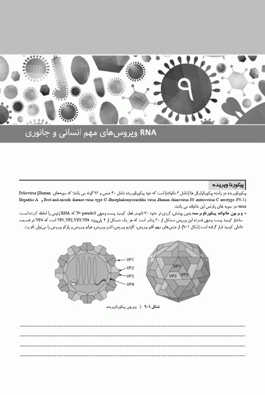 ویروس‌شناسی نوین به زبان ساده