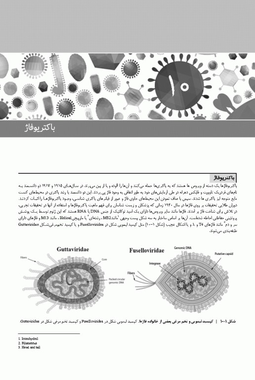 ویروس‌شناسی نوین به زبان ساده