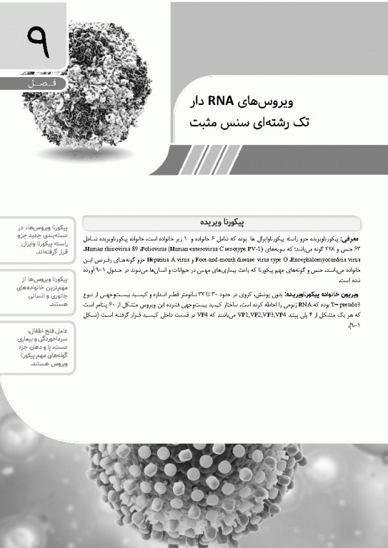 مرجع ویروس‌شناسی جانوری نوین به زبان ساده