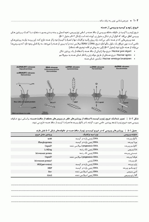 ویروس‌شناسی نوین به زبان ساده