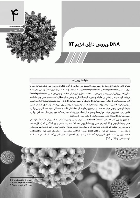 مرجع ویروس‌شناسی جانوری نوین به زبان ساده