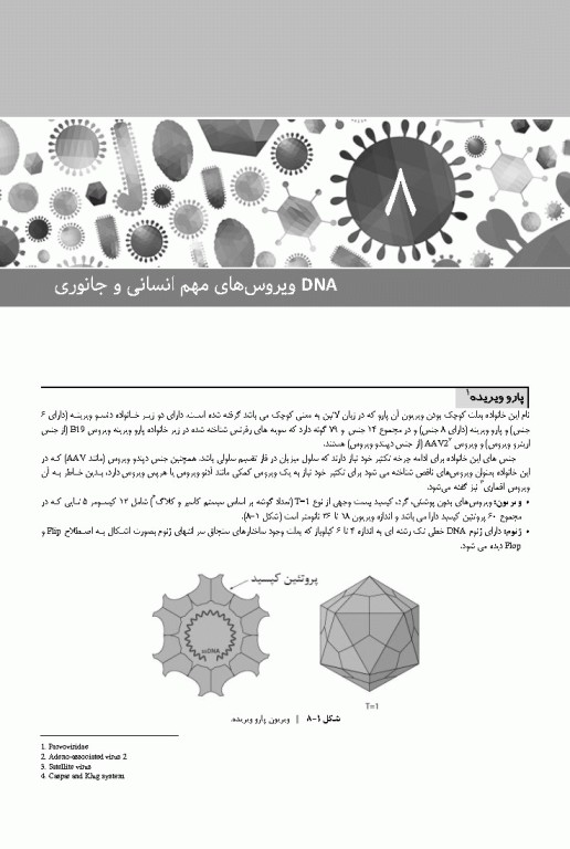 ویروس‌شناسی نوین به زبان ساده