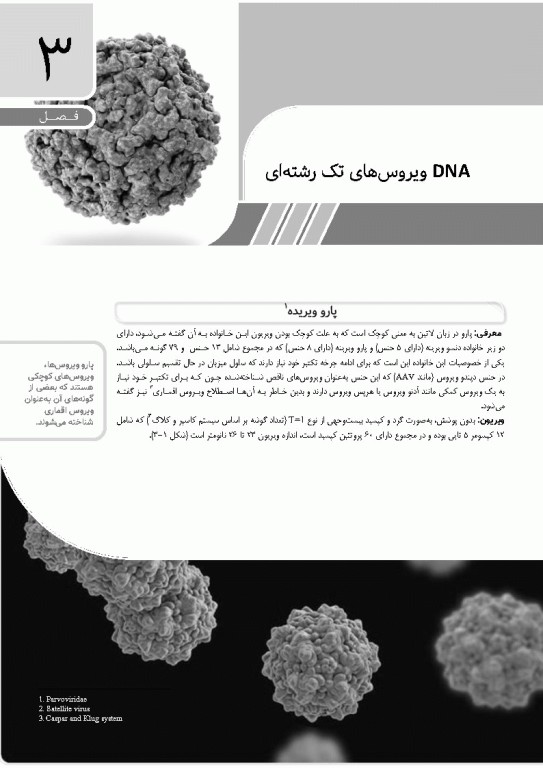 مرجع ویروس‌شناسی جانوری نوین به زبان ساده