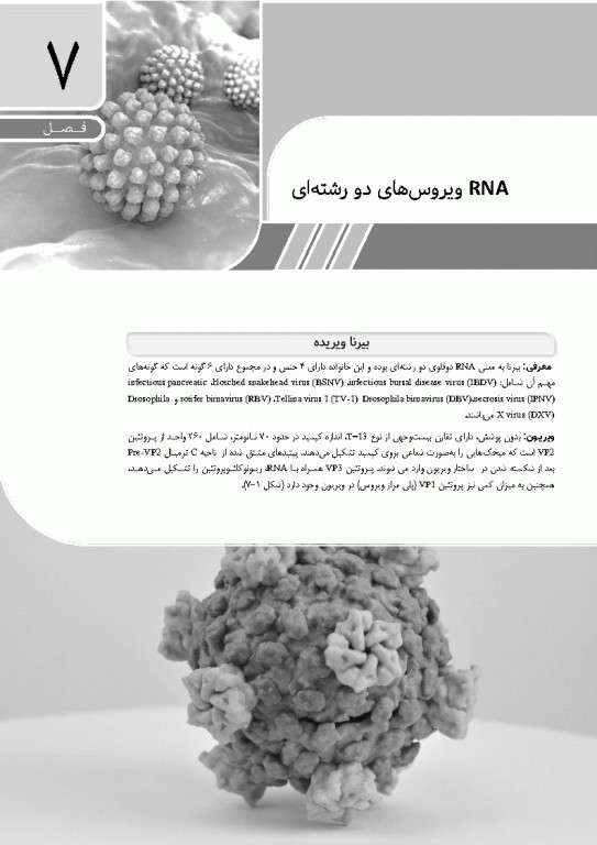 مرجع ویروس‌شناسی جانوری نوین به زبان ساده