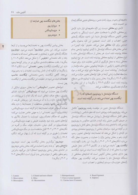 فیزیولوژی کاربردی تولیدمثل فرایندهای مسیر آبستنی و زایش