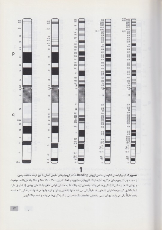 سیستم بین المللی نامگذاری سیتوژنتیک انسانی ISCN 2009