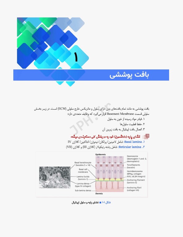 مرور جامع DRS علوم پایه پزشکی بافت‌شناسی