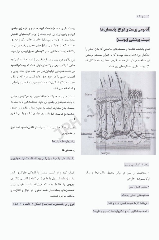 تروما 2023 جلد دوم ترجمه دکتر گودرزی