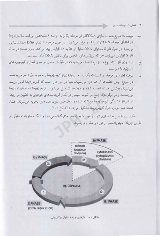 زیست‌شناسی مولکولی تکمیلی