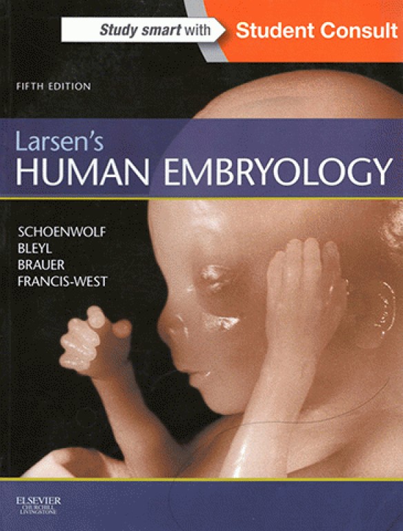 جنین شناسی انسانی لارسن 2015 | Larsen's Human Embryology
