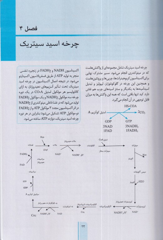 خلاصه GBS بیوشیمی هارپر