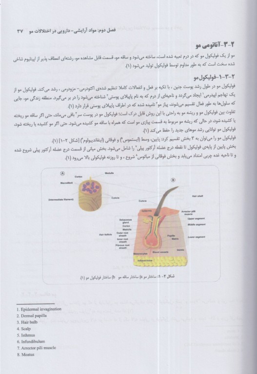 کاربرد مواد آرایشی دارویی در درمان‌های جایگزین اختلالات پوست، مو و ناخن
