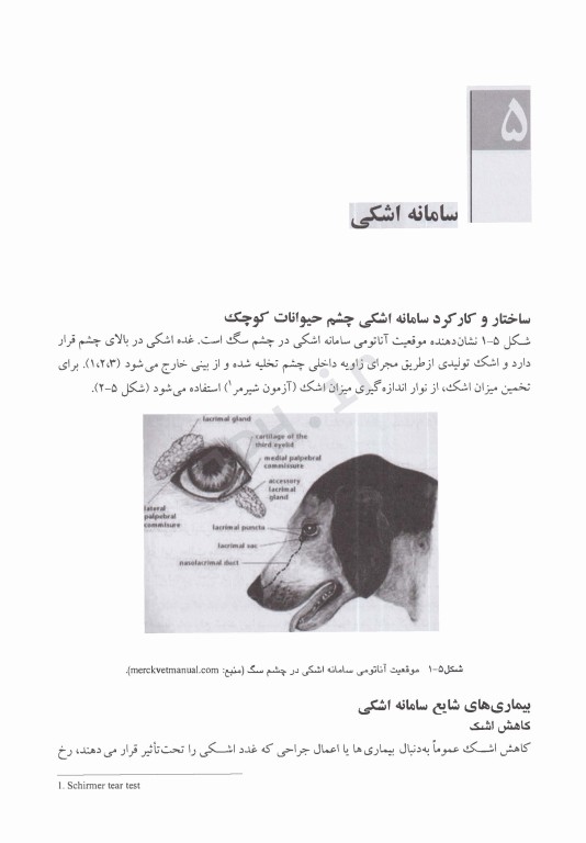 طب داخلی حیوانات کوچک همراه با دارونامه تخصصی