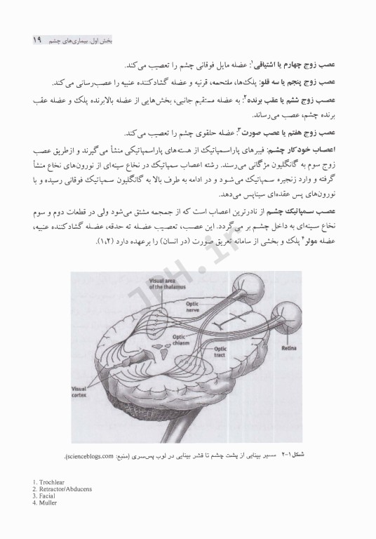 طب داخلی حیوانات کوچک همراه با دارونامه تخصصی