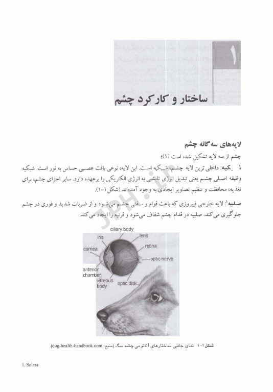 طب داخلی حیوانات کوچک همراه با دارونامه تخصصی