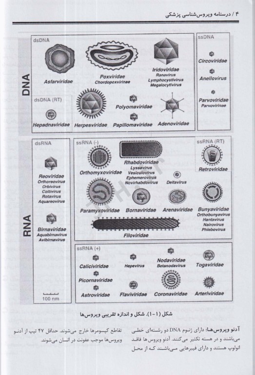 درسنامه ویروس‌شناسی پزشکی نوشته محمدشایسته پور