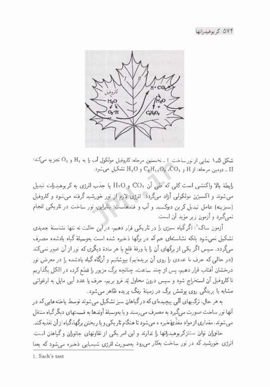 شیمی مواد غذایی جلد دوم