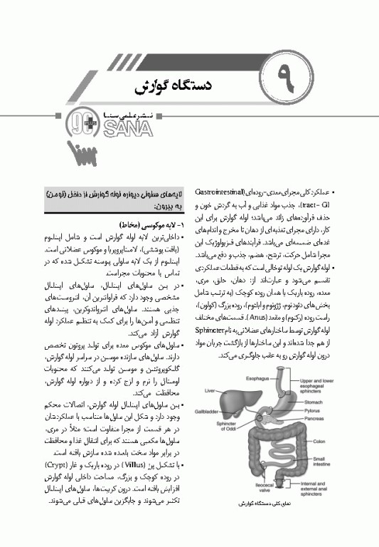 90 پلاس فیزیولوژی پزشکی