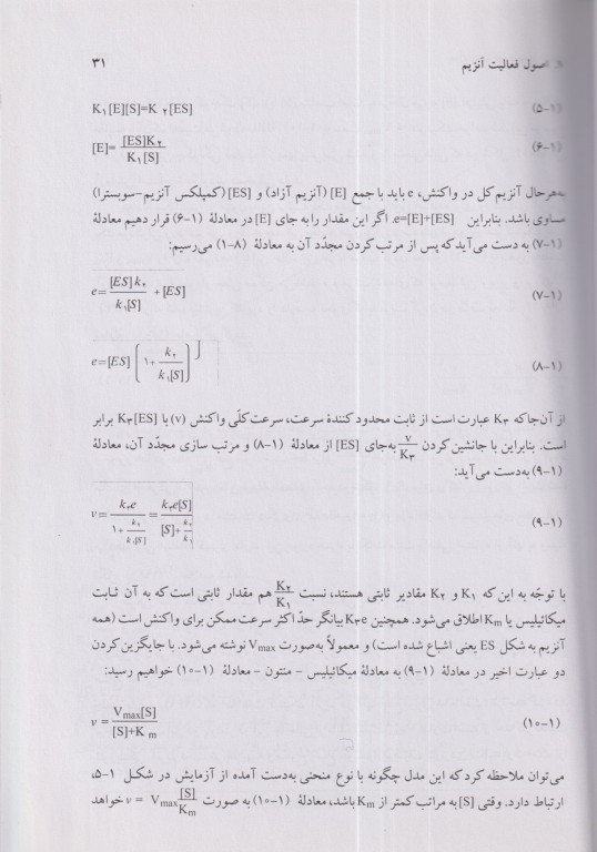 آنزیم‌ها در صنایع غذایی