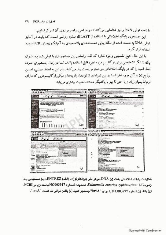 روش‌های PCR در مواد غذایی جان مائورر