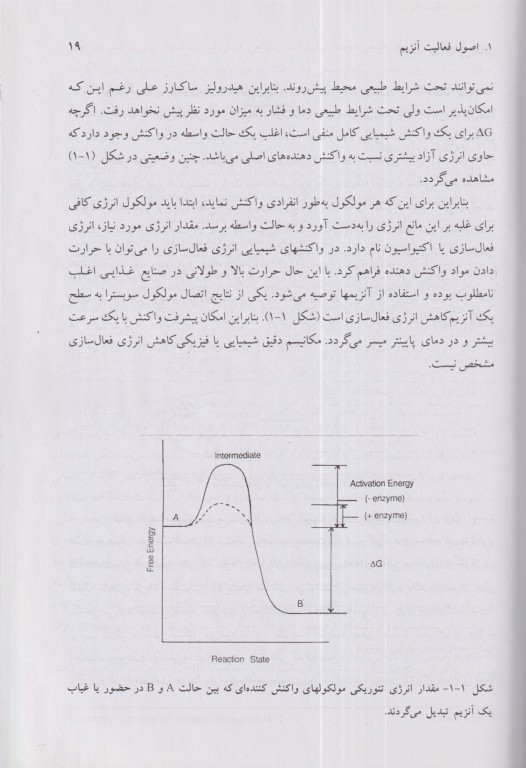 آنزیم‌ها در صنایع غذایی