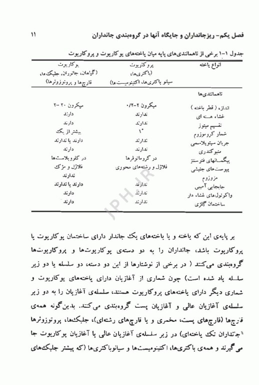 میکروبیولوژی عمومی باکتری‌ها و ویروس‌ها