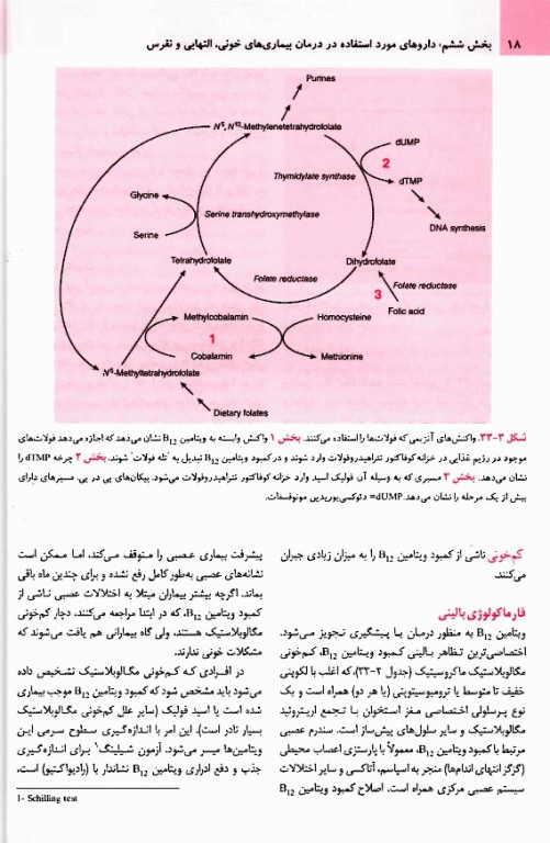 فارماکولوژی پایه و بالینی کاتزونگ 2024 متقی‌نژاد جلد دوم