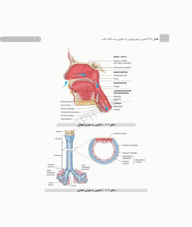 پرستاری در اورژانس‌های تنفس