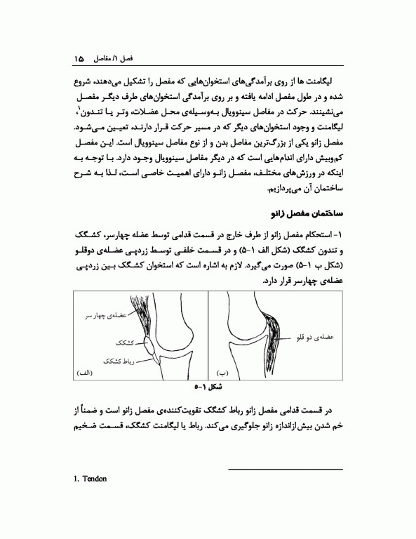 آسیب‌شناسی ورزشی