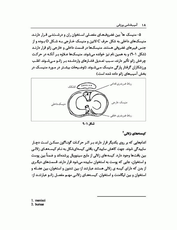 آسیب‌شناسی ورزشی