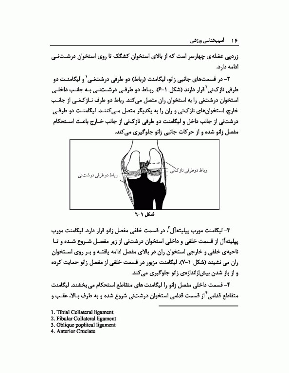 آسیب‌شناسی ورزشی