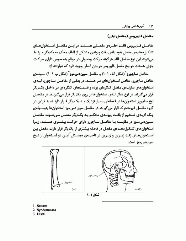 آسیب‌شناسی ورزشی