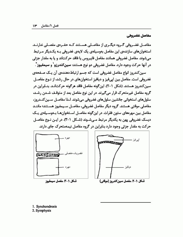 آسیب‌شناسی ورزشی