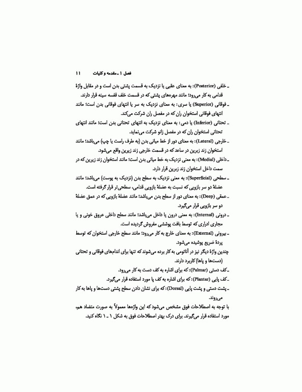 آناتومی انسان (برای دانشجویان رشته تربیت‌بدنی)