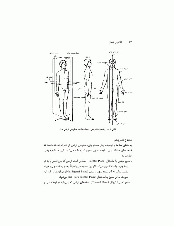 آناتومی انسان (برای دانشجویان رشته تربیت‌بدنی)