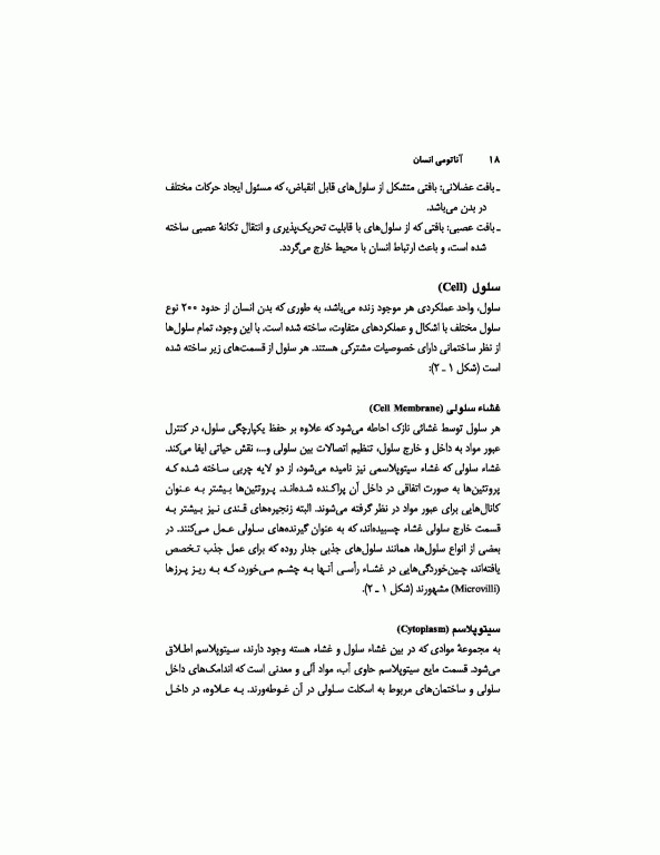 آناتومی انسان (برای دانشجویان رشته تربیت‌بدنی)