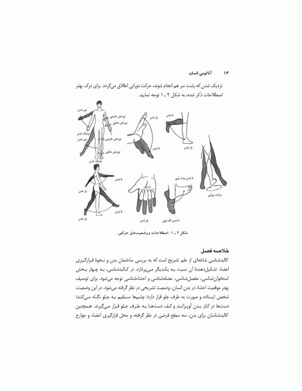 آناتومی انسان (برای دانشجویان رشته تربیت‌بدنی)