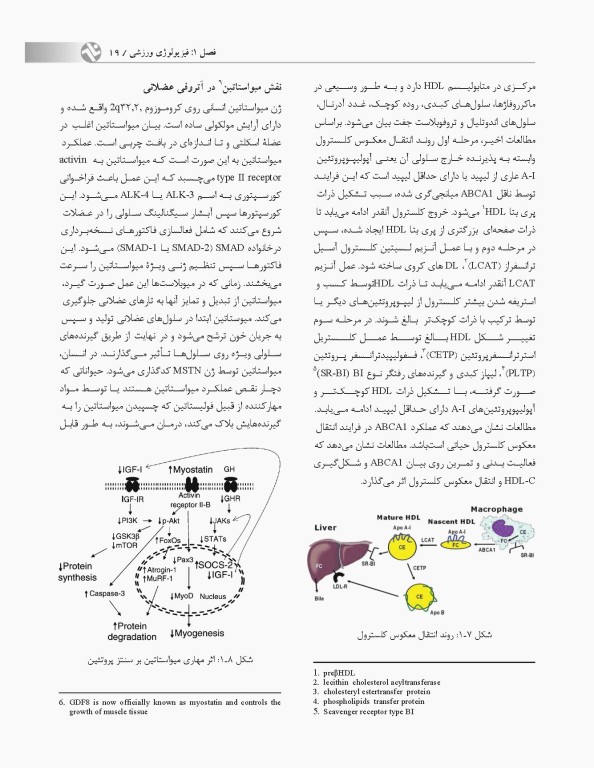 آمادگی آزمون دکتری فیزیولوژی ورزش