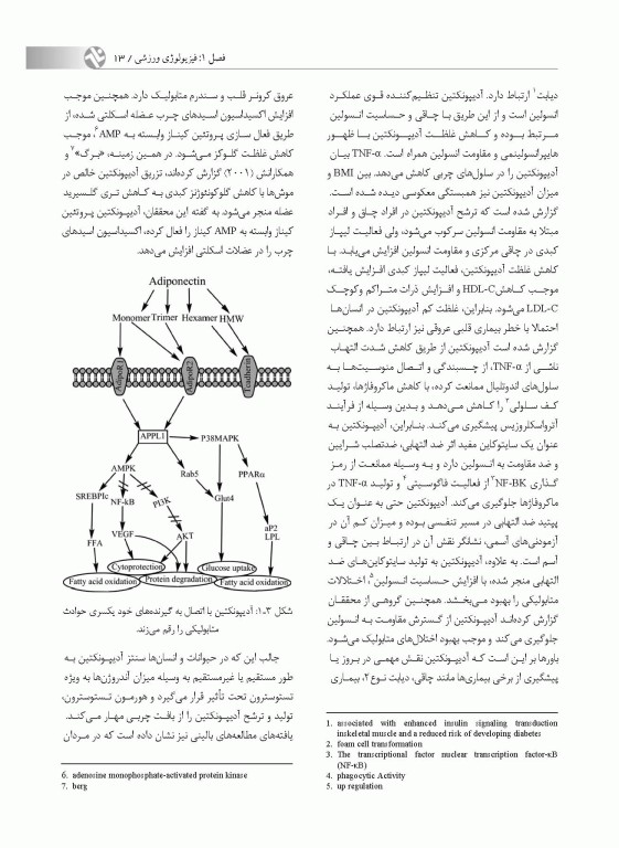 آمادگی آزمون دکتری فیزیولوژی ورزش