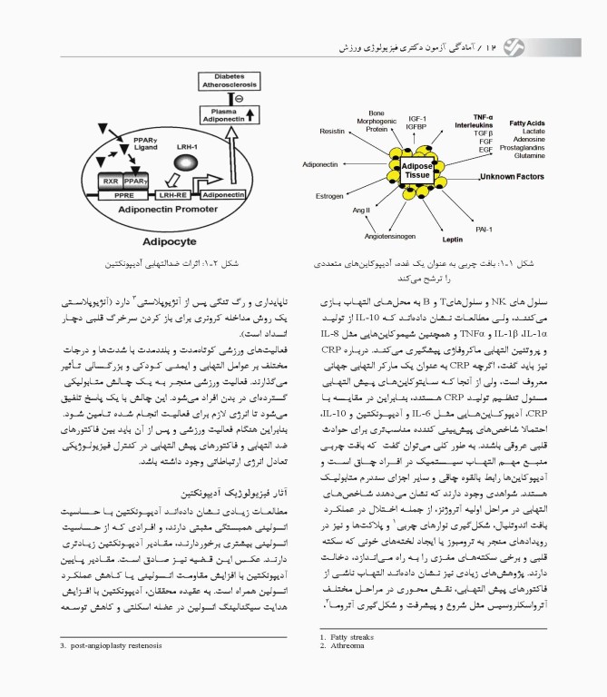 آمادگی آزمون دکتری فیزیولوژی ورزش