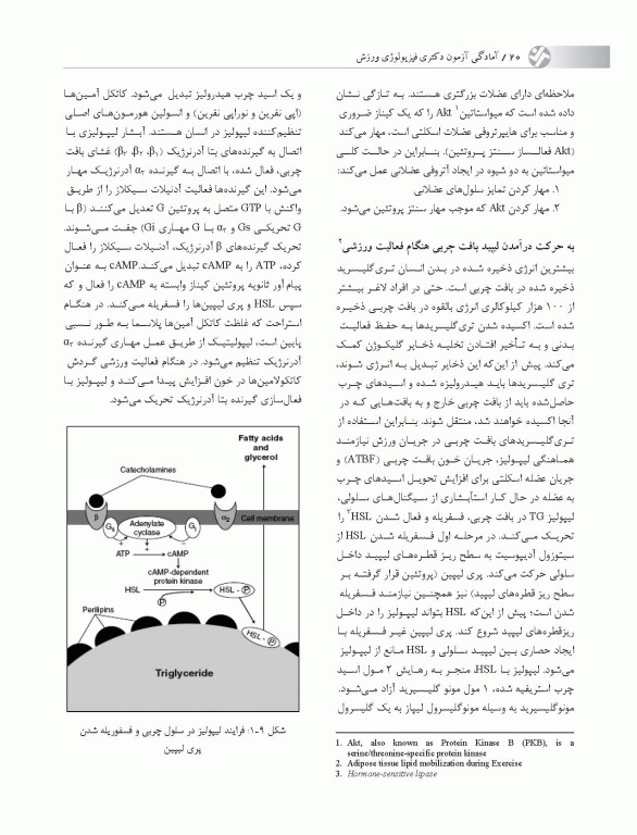 آمادگی آزمون دکتری فیزیولوژی ورزش