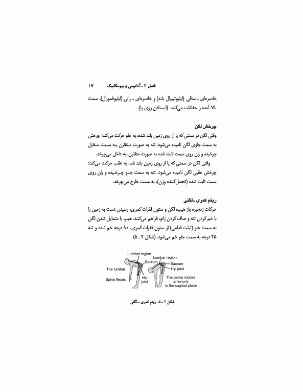 درمان گردن درد و کمر درد با ورزش